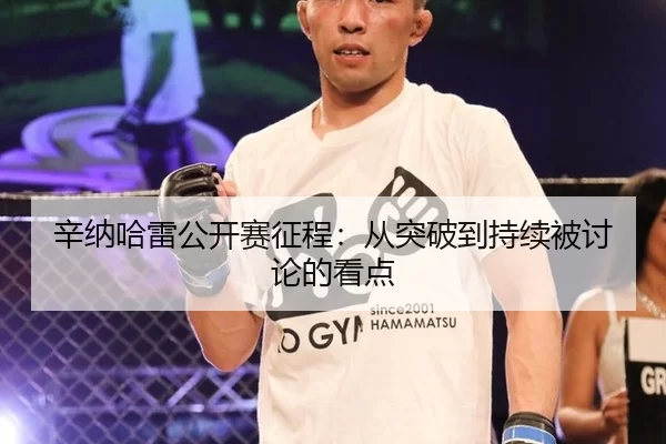 辛纳哈雷公开赛征程：从突破到持续被讨论的看点